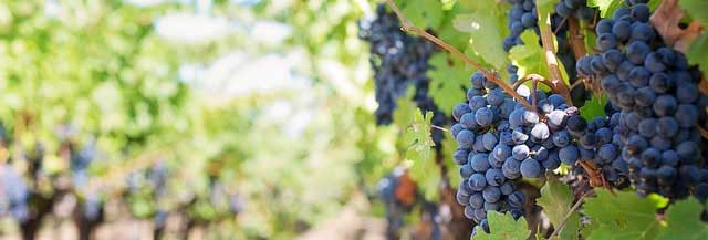 ddos攻击防御手段