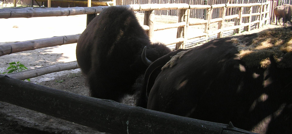 ddos网页在线攻击