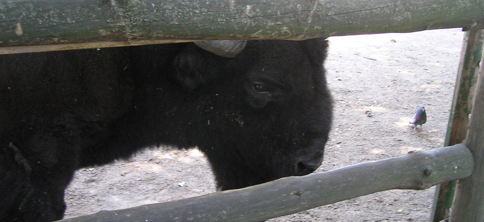 教育资源库的网络攻击软件